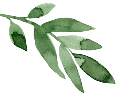 Top Left Sage